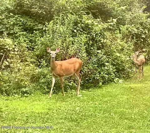 840 Maplewood 433 Acres Rd, Lake Ariel, PA 18436