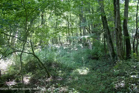 Belcher Road, Union Dale, PA 18470
