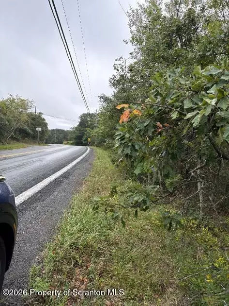 Salem Mt Rd Lot #17 Road, Carbondale, PA 18407