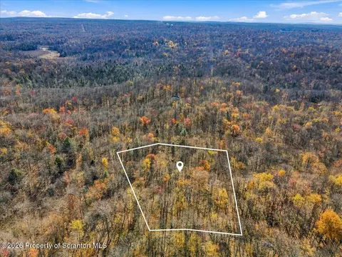 Ridge Road, Newfoundland, PA 18445