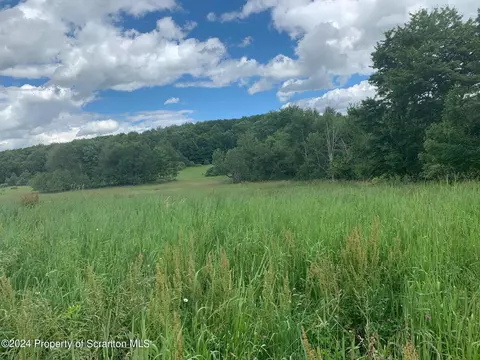 0 County Line Rd, Laceyville, PA 18623