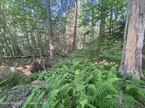 State Route 307 & Donny Drive, Roaring Brook Twp, PA 18444