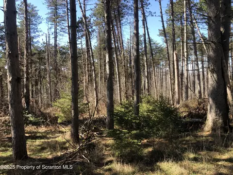 634 Lily Lake Rd #LOT 3, Waverly, PA 18471