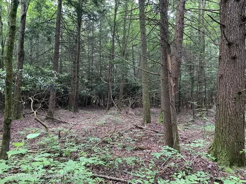 Moon Road, Sterling Twp, PA 18463