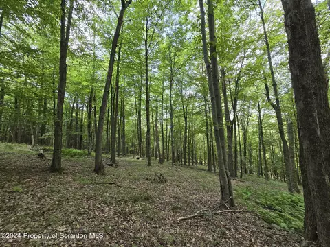 Traver Hill Rd Lot #s 1 & 2, Friendsville, PA 18818