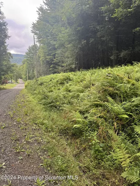 0 Cabin Hill East Rd, Hallstead, PA 18822