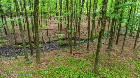 Other - 925 Apple Tree Rd, Harding, PA 18643 photo 6 of 28