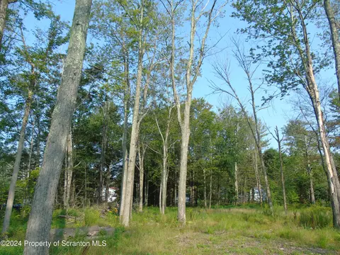 lot31 41 Birch St, Spring Brook Twp, PA 18444