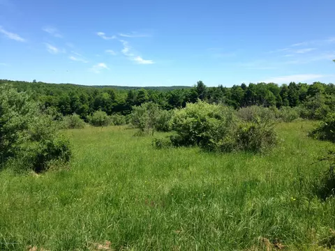 0000 Dahlia Way, Friendsville, PA 18818