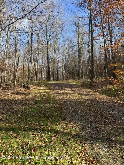 Milton Lane Lane, Warren Center, PA 18851