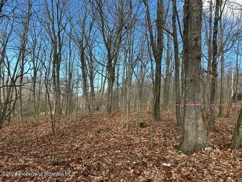 Archbald Mt Road, Jefferson Twp, PA 18436