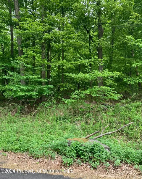 Old Rte 611, Covington Twp, PA 18444