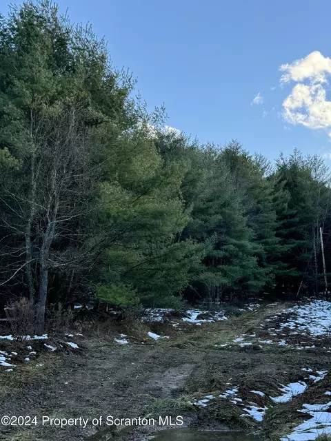 00 Woodland Rd, Brackney, PA 18812