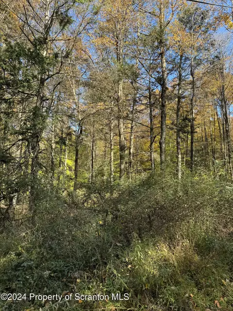 Finn Road, Benton, PA 17814