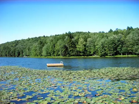 81 Lounsbury Rd, Cochecton, NY 12726