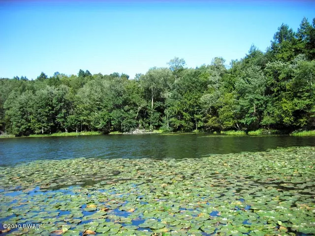  81 Lounsbury Rd, Cochecton, NY 12726 photo 7