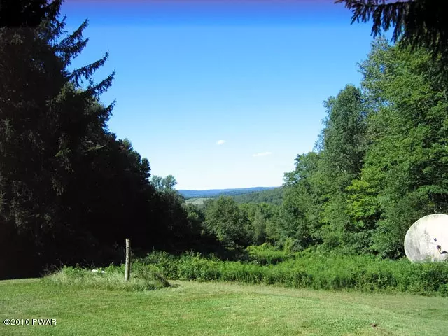  81 Lounsbury Rd, Cochecton, NY 12726 photo 8