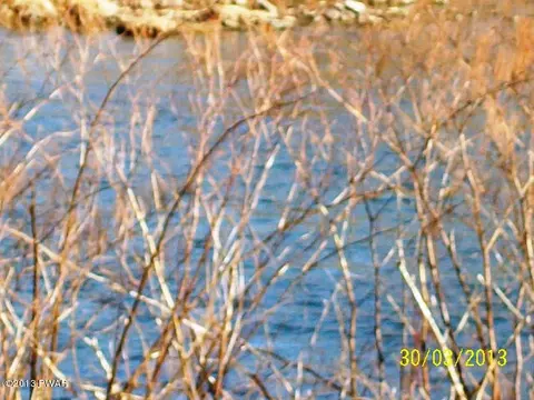 44 Kane Rd, Starlight, PA 18461 photo 24