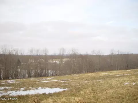1663 Upper Woods Rd, Pleasant Mount, PA 18453 photo 9