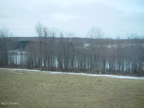 1663 Upper Woods Rd, Pleasant Mount, PA 18453 photo 8