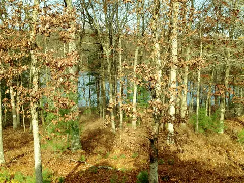 113 Apache Trl, Dingmans Ferry, PA 18328 photo 16
