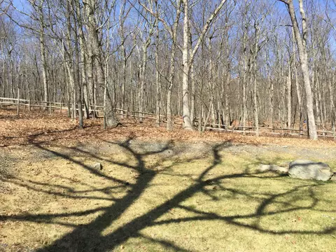 108 Sparrow Loop, Bushkill, PA 18324 photo 39