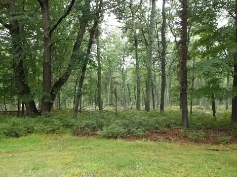 162 Doe Loop, Bushkill, PA 18324 photo 24