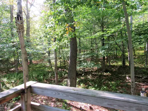 1095 Westside Dr, Newfoundland, PA 18445 photo 20