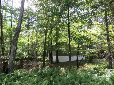 1095 Westside Dr, Newfoundland, PA 18445 photo 21