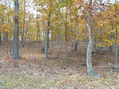 160 Sparrow Loop Rd, Bushkill, PA 18324 photo 3