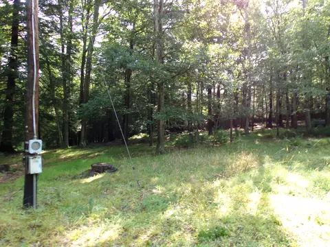 58 Collins Rd, Eldred, NY photo 3