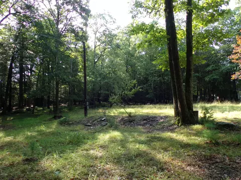 58 Collins Rd, Eldred, NY photo 1