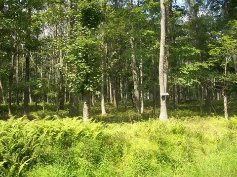 lot44 Oakenshield Dr, Tamiment, PA 18371