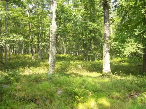Lot 3502 Walton Way, Milford, PA 18337
