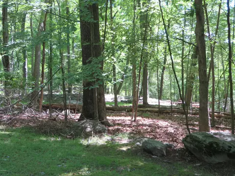 2112 Eagle Path, Bushkill, PA 18324 photo 38