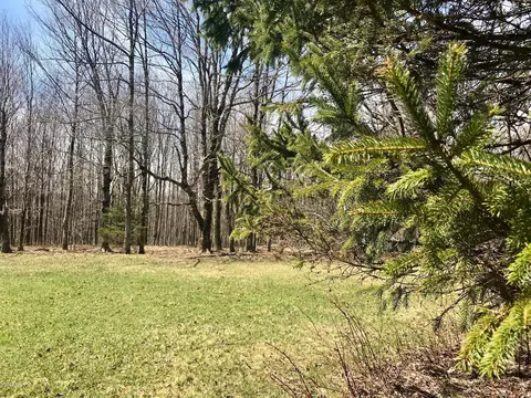 21 Fall Brook Rd, Starlight, PA 18461 photo 17