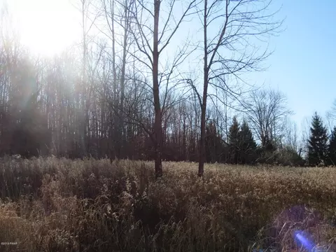 146 Mountain View Rd, Newfoundland, PA 18445 photo 5