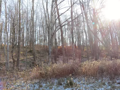 146 Mountain View Rd, Newfoundland, PA 18445 photo 3