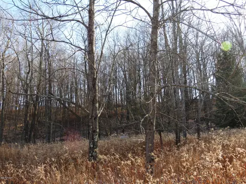 146 Mountain View Rd, Newfoundland, PA 18445 photo 7