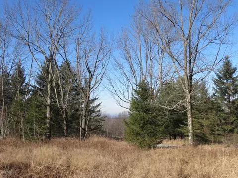 146 Mountain View Rd, Newfoundland, PA 18445 photo 6