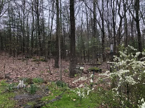 150 Doolan Rd, Dingmans Ferry, PA 18328 photo 26