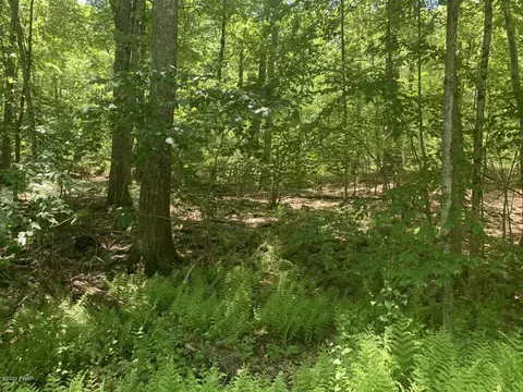 lot92 Sec 2 Block 92 Dr, Dingmans Ferry, PA 18328