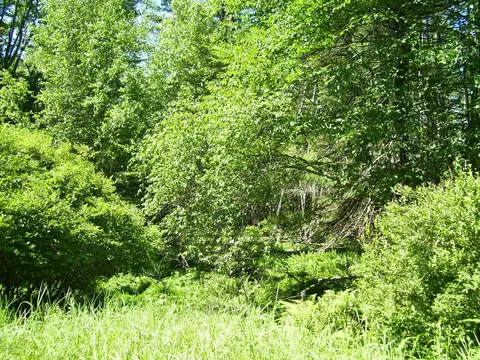 lot Apt 2 Rebels Rd, Rowland, PA 18457