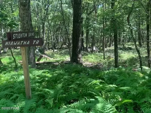 Hiawatha Trail, Milford, PA 18337