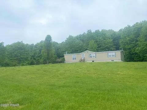 821 Pine Mill Rd, Equinunk, PA 18417 photo 4