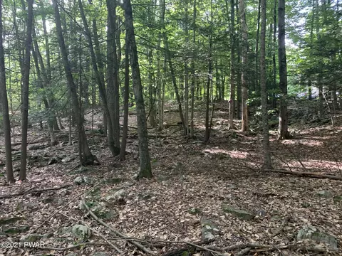 1 Dogwood Ter, Lake Ariel, PA 18436