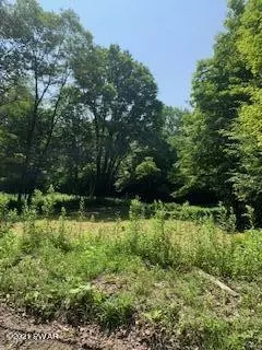 lot4 101 Nevin Rd, Newfoundland, PA 18445