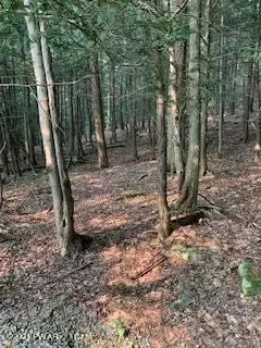 lot10 Sr 507 Rd, Newfoundland, PA 18445