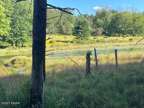 141 Gregory Rd, Monticello, NY 12701 photo 12