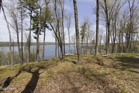lot7 Nemanie Vlg, Paupack, PA 18451